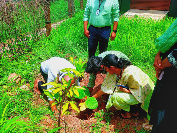 World Environment Day Celebrated at Saintgits