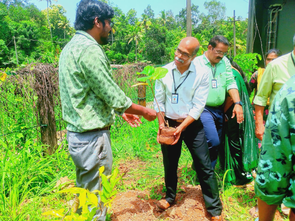 World Environment Day Celebrated at Saintgits