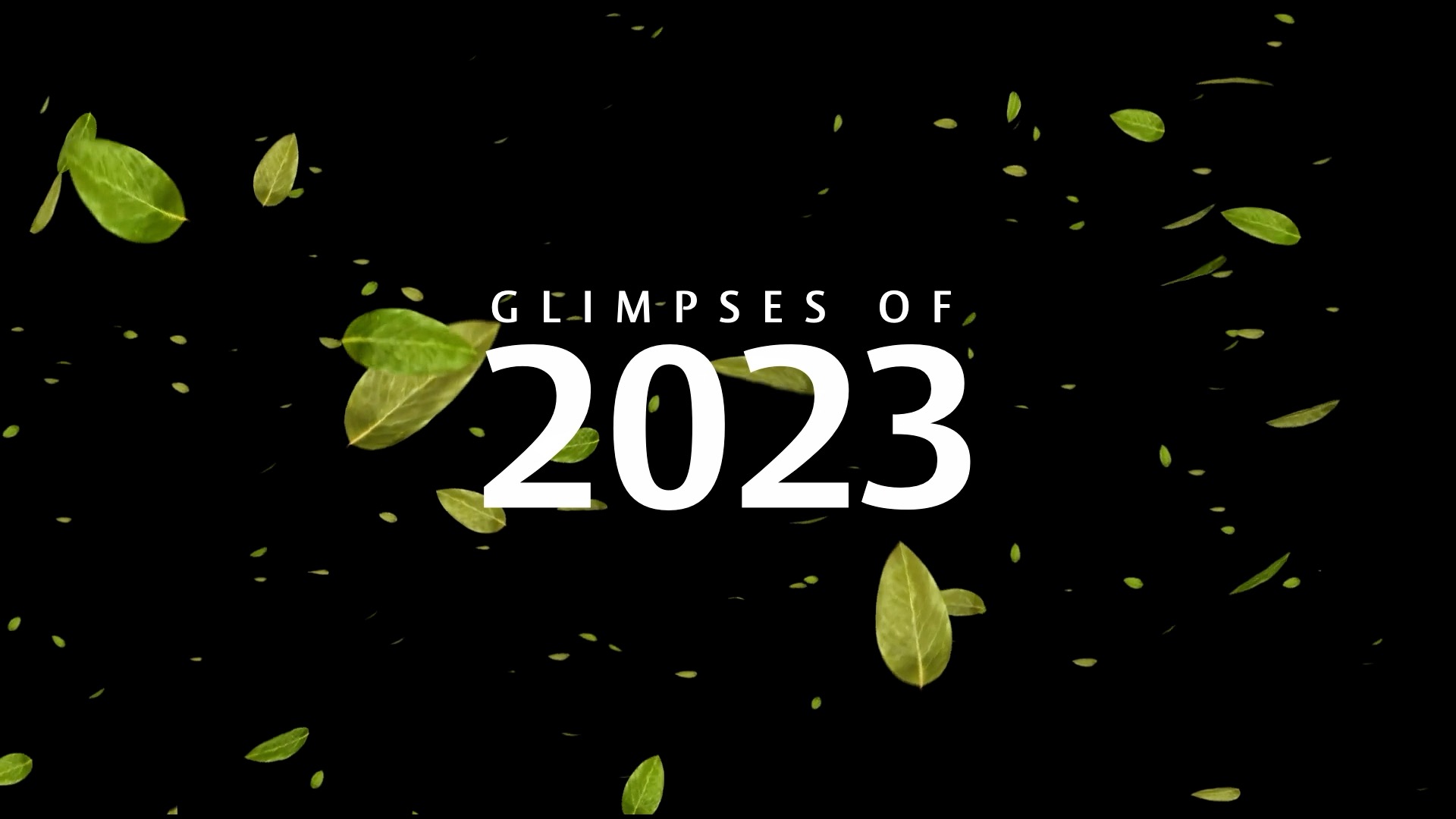 Glimpses 2023